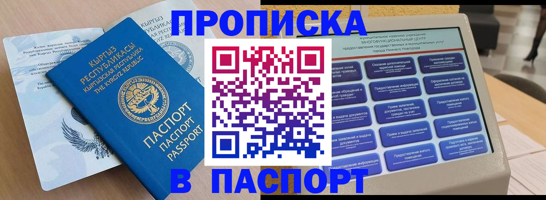 прописка для школы в Ярославле